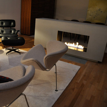 Johnson Residence: Spark Vent Free 3ft Vu Thru Model 54