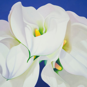Artwork or Prints