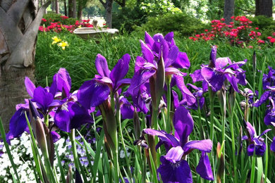 Photo of a tropical landscaping in Other.