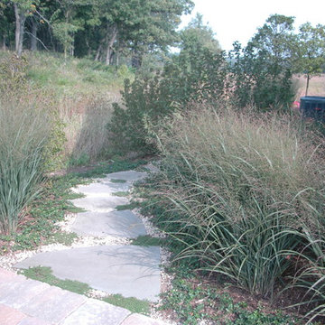 Bull Valley Naturalistic Landscape