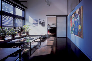 Hallway - modern hallway idea in Minneapolis