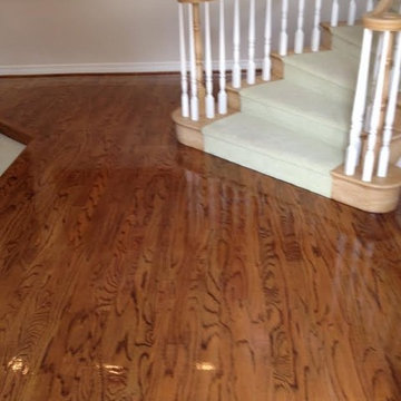 Our Work