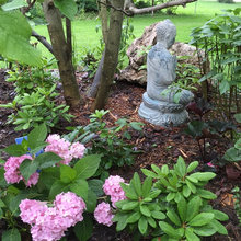 My Little Shangri-La