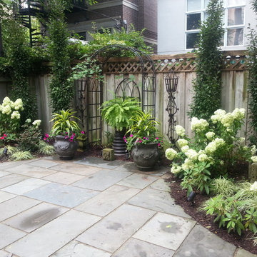 Upscale Lincoln Park