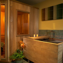 Lower Level Spa Sauna Bath