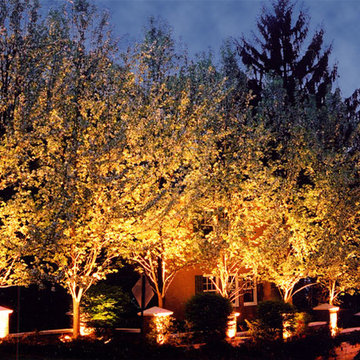 Affordable Lawn Sprinkler and Lighting's Artistry around Northern Virginia