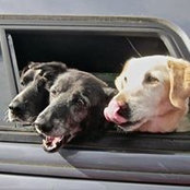 Karen Biondo's photo
