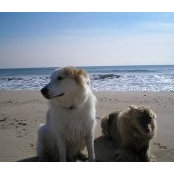 Laura Becker's photo