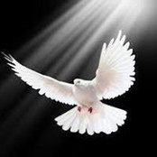 Khalid Daubon's photo