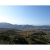 James Waller's photo