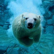 Heather McKinnon's photo