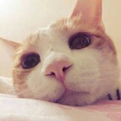李金野's photo