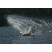 Bryan Williams's photo