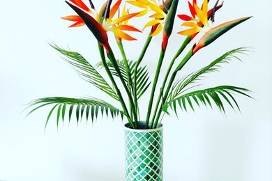 Bird of Paradise & Palms