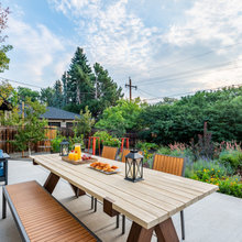 Martin’s Backyard