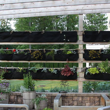 Backyard Ideas
