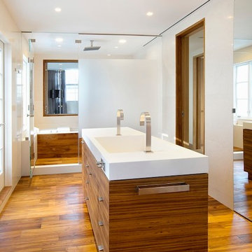 Tribeca Penthouse