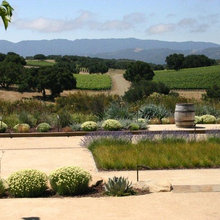 Landscape Design