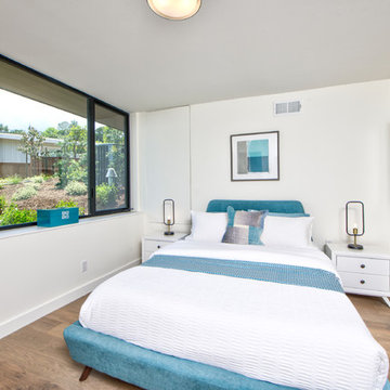 Terrace Court, Tiburon Splendor