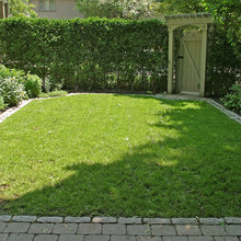 backyard privacy