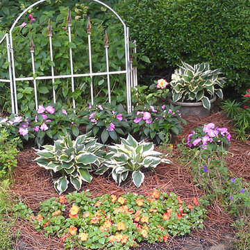 New Website All About Downsizing