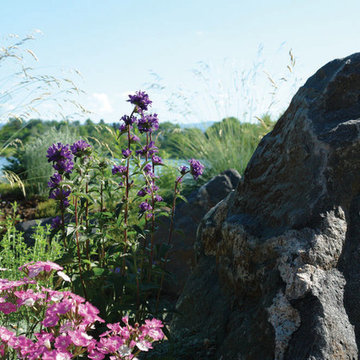 Landscape Projects
