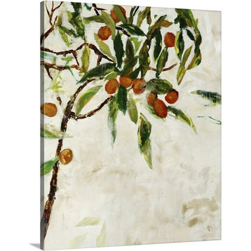 Kumquat Tree Wrapped Canvas Art Print, 16"x20"x1.5"