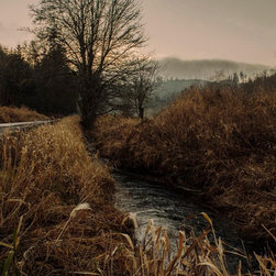Landscapes/Nature - Prints And Posters