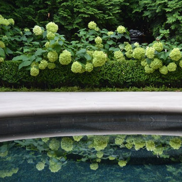 Hydrangeas and Boxwoods
