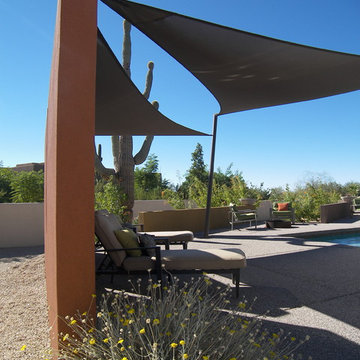 Desert Back Yard