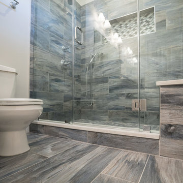 Oakton Transitional Bathroom Remodel