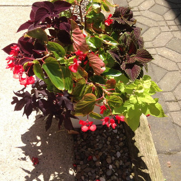 Container Gardens