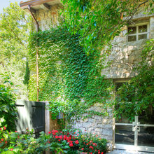 dnmdc's patio ideas