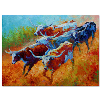 Marion Rose 'Longhorns II' Canvas Art, 19 x 14