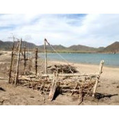Elena Jaramillo's photo