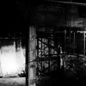 Noah Harvey's photo
