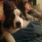 Foto von Simon Pitt