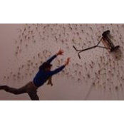 Niek Kramer's photo