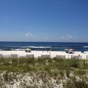 Stephanie Dean's photo