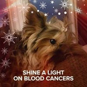 Diane Derrick's photo