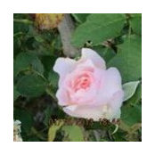 Majda Vuk's photo