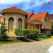 Mohsen Dashty's photo