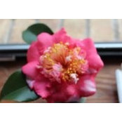 Joleen McKenzie's photo
