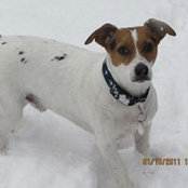 Scott Harrell's photo