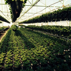 Mar S Nursery Tree Farm Oklahoma City Ok Us 73170 Houzz Nursery Tree Farm Oklahoma City Ok