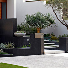 Frontyard