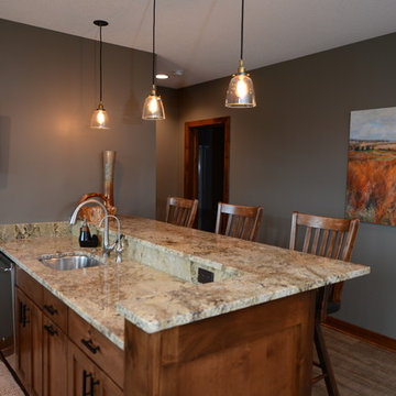 Lower Level Remodel