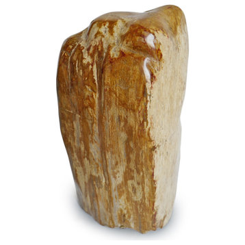 Petrified Wood Fragment
