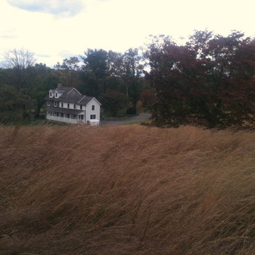 Chadds Ford Meadow
