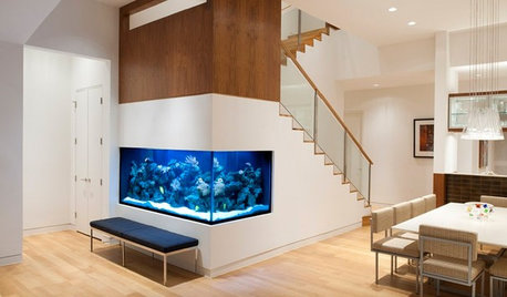 Ask a Designer: Can I Have an Aquarium in My Home?